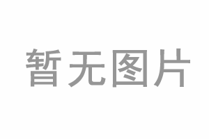 反应池搅拌机选型